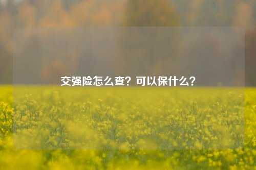 交强险怎么查？可以保什么？