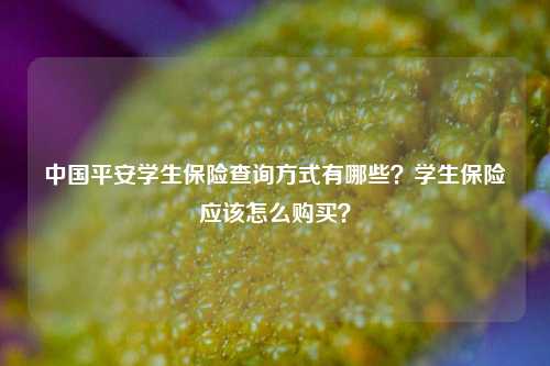 中国平安学生保险查询方式有哪些？学生保险应该怎么购买？