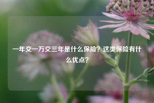 一年交一万交三年是什么保险？这类保险有什么优点？