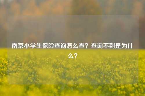 南京小学生保险查询怎么查？查询不到是为什么？