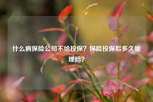 什么病保险公司不给投保？保险投保后多久能理赔？