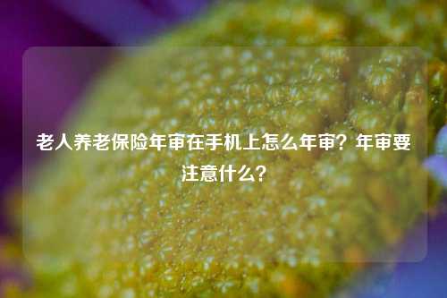 老人养老保险年审在手机上怎么年审？年审要注意什么？