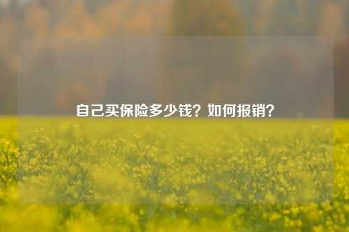 自己买保险多少钱？如何报销？