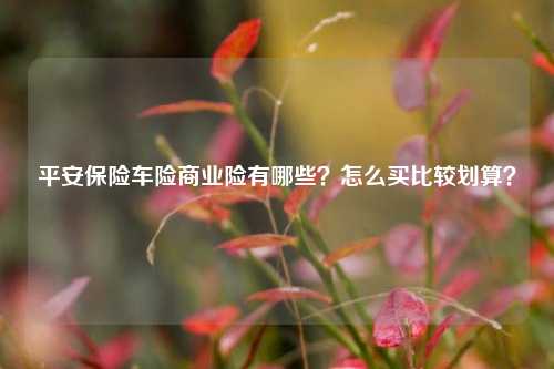 平安保险车险商业险有哪些？怎么买比较划算？