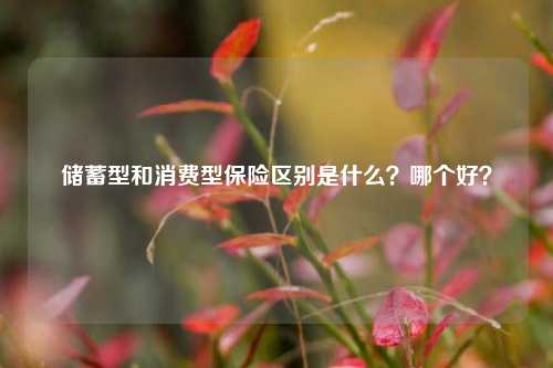 储蓄型和消费型保险区别是什么？哪个好？