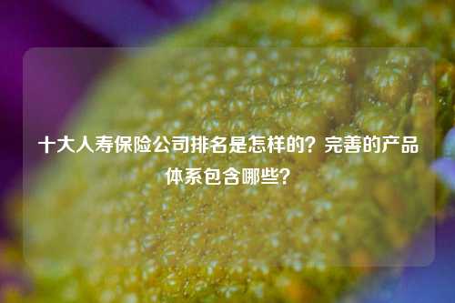 十大人寿保险公司排名是怎样的？完善的产品体系包含哪些？