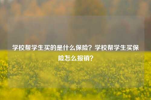 学校帮学生买的是什么保险？学校帮学生买保险怎么报销？