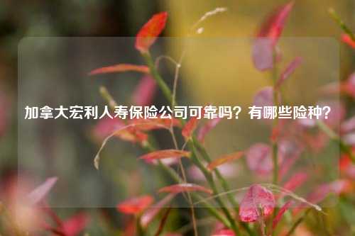 加拿大宏利人寿保险公司可靠吗？有哪些险种？