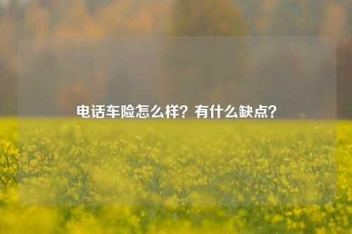 电话车险怎么样？有什么缺点？