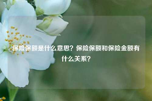 保险保额是什么意思？保险保额和保险金额有什么关系？