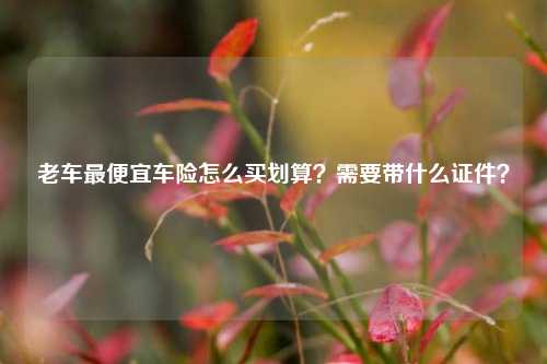 老车最便宜车险怎么买划算？需要带什么证件？