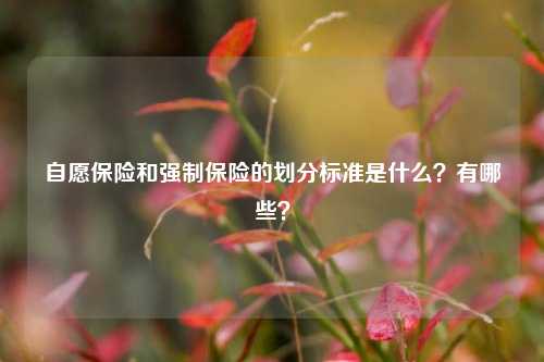 自愿保险和强制保险的划分标准是什么？有哪些？