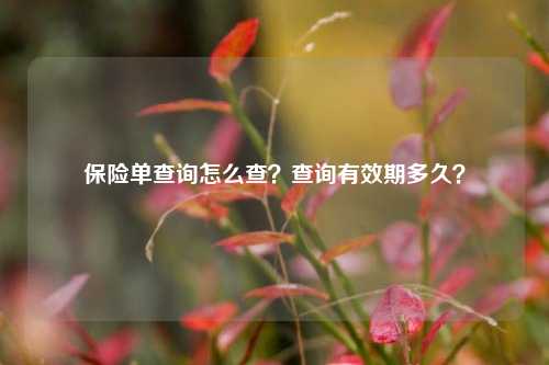 保险单查询怎么查？查询有效期多久？