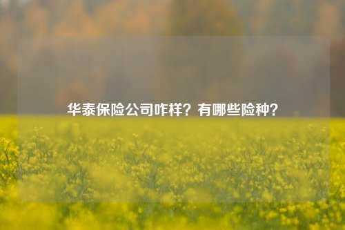 华泰保险公司咋样？有哪些险种？