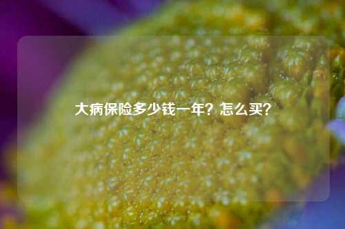 大病保险多少钱一年？怎么买？