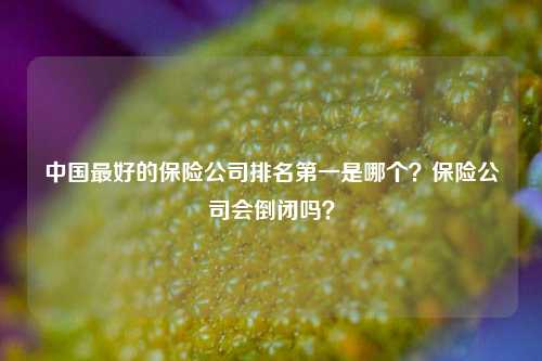 中国最好的保险公司排名第一是哪个？保险公司会倒闭吗？