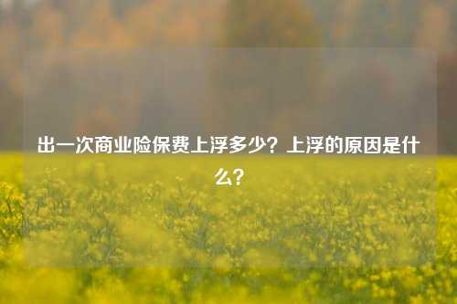 出一次商业险保费上浮多少？上浮的原因是什么？