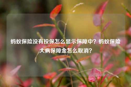 蚂蚁保险没有投保怎么显示保障中？蚂蚁保险大病保障金怎么取消？