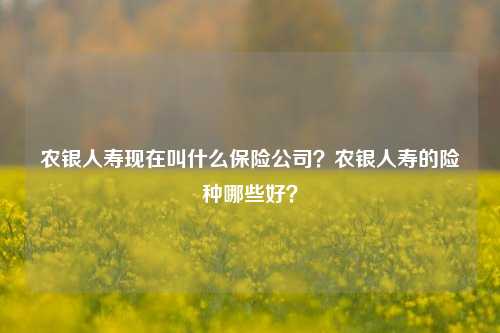 农银人寿现在叫什么保险公司？农银人寿的险种哪些好？