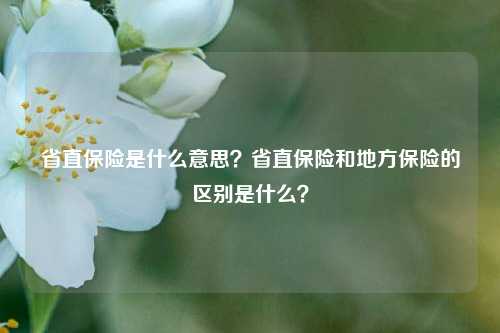 省直保险是什么意思？省直保险和地方保险的区别是什么？