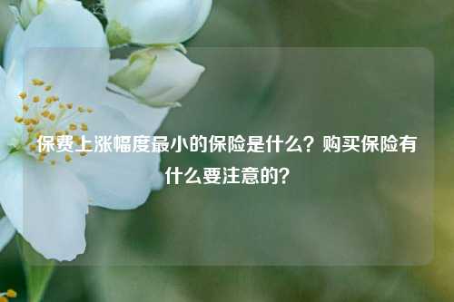 保费上涨幅度最小的保险是什么？购买保险有什么要注意的？