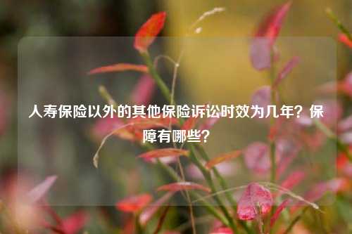 人寿保险以外的其他保险诉讼时效为几年？保障有哪些？