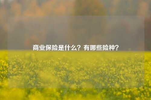 商业保险是什么？有哪些险种？