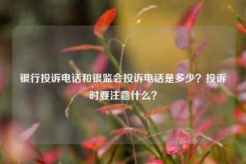 银行投诉电话和银监会投诉电话是多少？投诉时要注意什么？