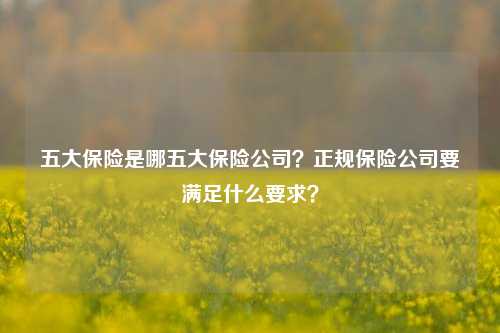 五大保险是哪五大保险公司？正规保险公司要满足什么要求？