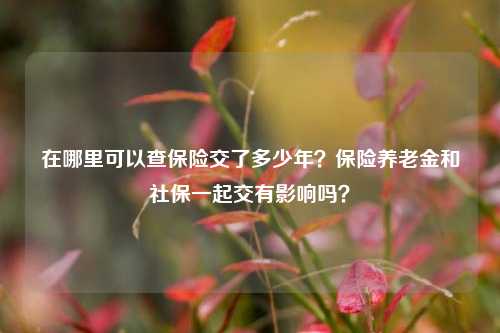 在哪里可以查保险交了多少年？保险养老金和社保一起交有影响吗？