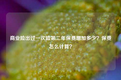 商业险出过一次险第二年保费增加多少？保费怎么计算？