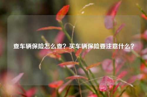 查车辆保险怎么查？买车辆保险要注意什么？