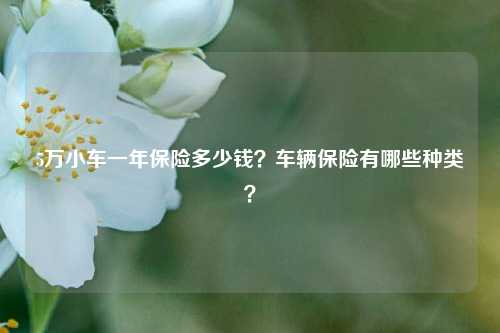 5万小车一年保险多少钱？车辆保险有哪些种类？