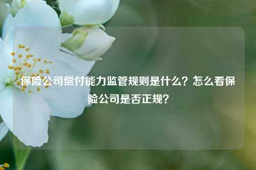 保险公司偿付能力监管规则是什么？怎么看保险公司是否正规？