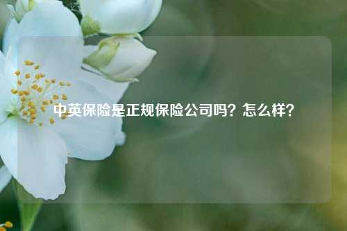 中英保险是正规保险公司吗？怎么样？