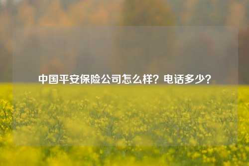 中国平安保险公司怎么样？电话多少？