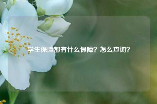 学生保险都有什么保障？怎么查询？