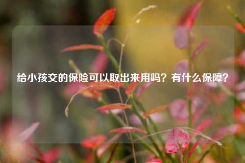 给小孩交的保险可以取出来用吗？有什么保障？