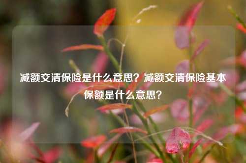 减额交清保险是什么意思？减额交清保险基本保额是什么意思？