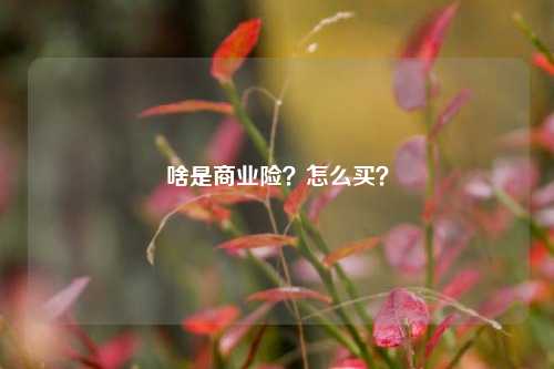 啥是商业险？怎么买？