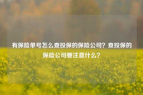 有保险单号怎么查投保的保险公司？查投保的保险公司要注意什么？