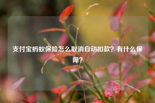 支付宝蚂蚁保险怎么取消自动扣款？有什么保障？