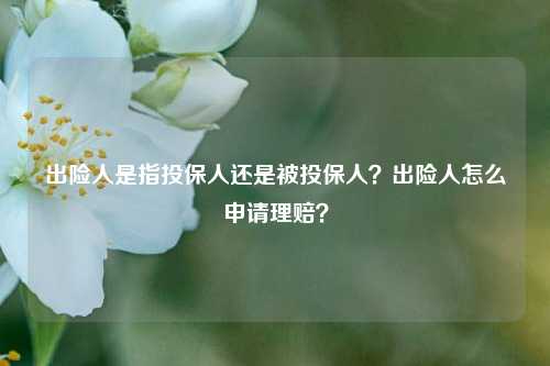 出险人是指投保人还是被投保人？出险人怎么申请理赔？