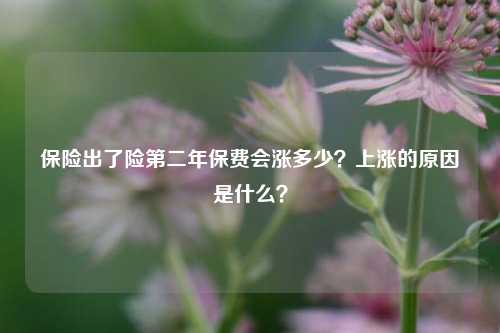 保险出了险第二年保费会涨多少？上涨的原因是什么？