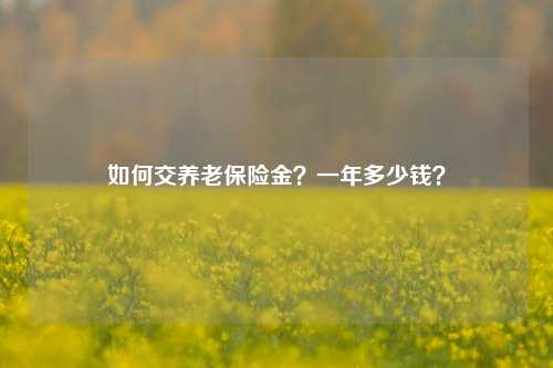 如何交养老保险金？一年多少钱？