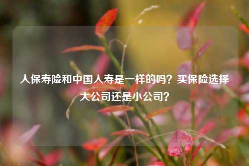 人保寿险和中国人寿是一样的吗？买保险选择大公司还是小公司？