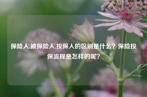 保险人,被保险人,投保人的区别是什么？保险投保流程是怎样的呢？