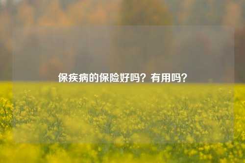 保疾病的保险好吗？有用吗？