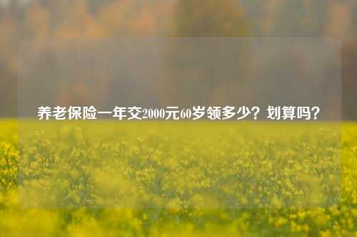 养老保险一年交2000元60岁领多少？划算吗？