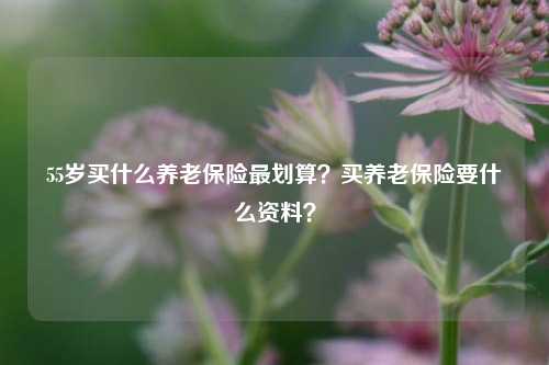 55岁买什么养老保险最划算？买养老保险要什么资料？